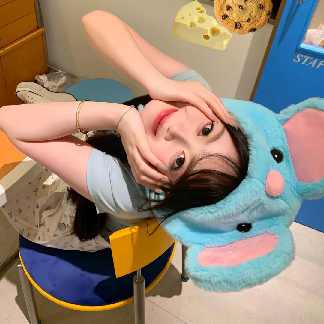 档案风暴